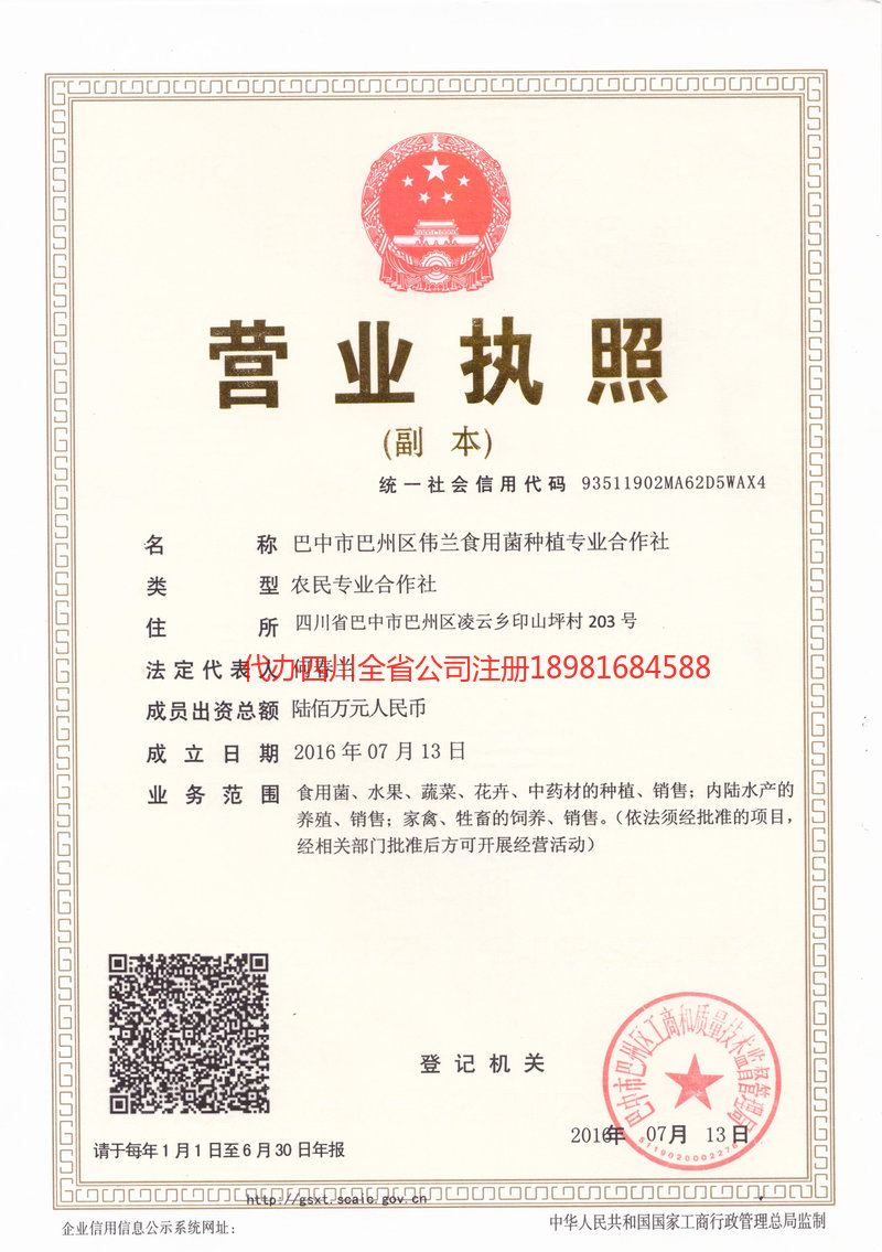 武隆武隆伟兰食用菌种植专业合作社