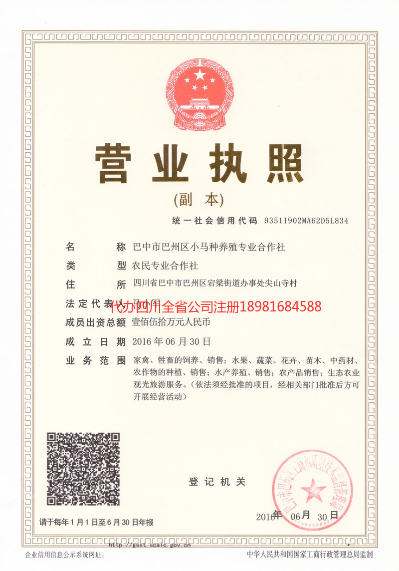 武隆武隆小马种养殖专业合作社